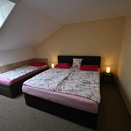 Rodinne Vinarstvi Spevak 3* Velké Bílovice