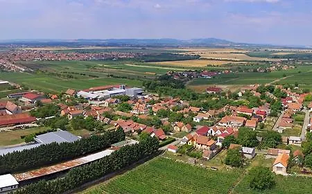 Rodinne Vinarstvi Spevak 3* Velké Bílovice